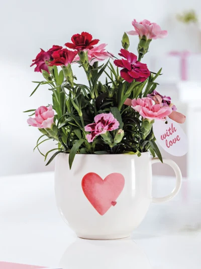 Une tasse blanche With Love avec un cœur rouge Une tasse With Love blanche avec un cœur rouge et des fleurs roses et rouges est posée sur une table blanche.